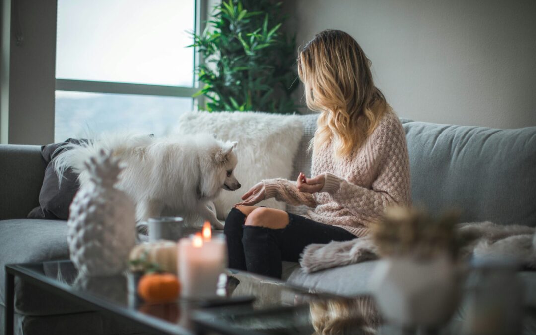 Voz Home – Det smarta boendet är digitalt